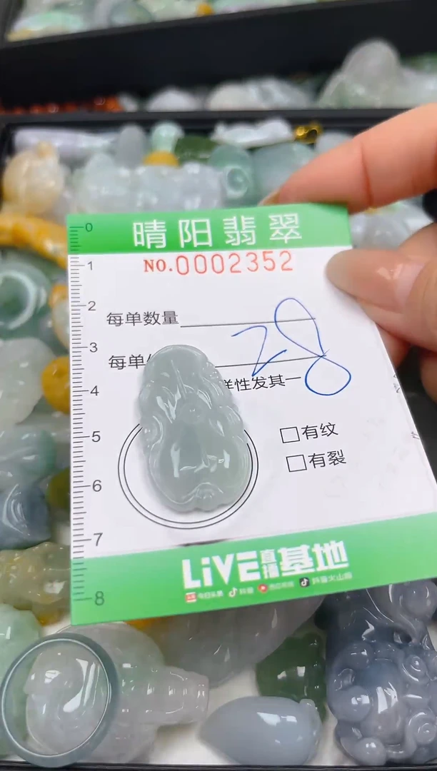 翡翠未镶嵌颈饰闪购0002352