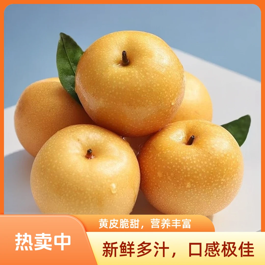 【冰糖丰水梨】山东冰糖丰水梨脆甜多汁新鲜现摘现发当季4.5-5斤