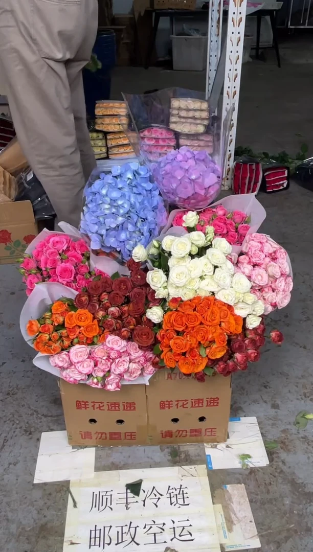 多头玫瑰5扎（任意色3-4个品种）+绣球