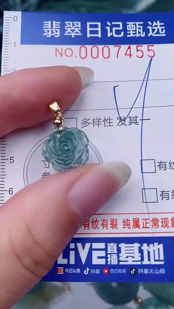 翡翠未镶嵌颈饰00007455