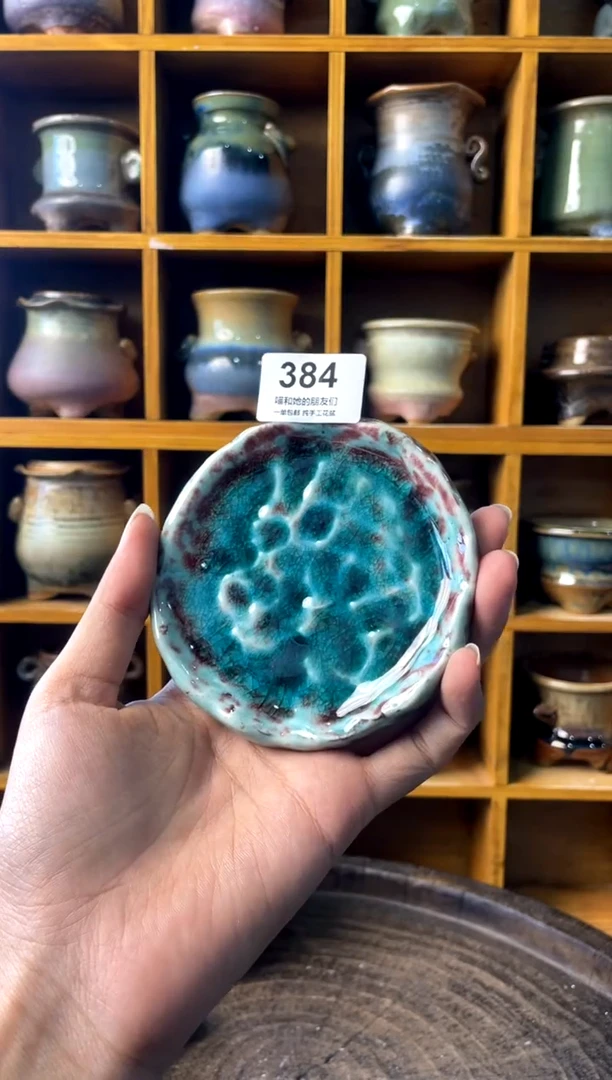 384【多肉花盆多肉盆】