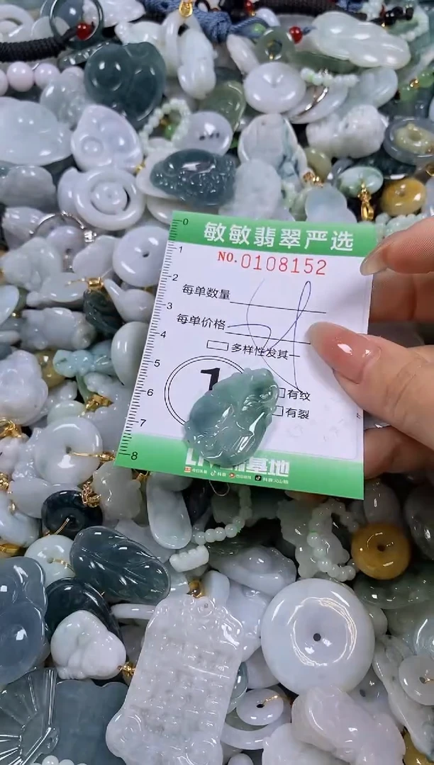 【闪购商品】翡翠颈饰未镶嵌闪购0108152