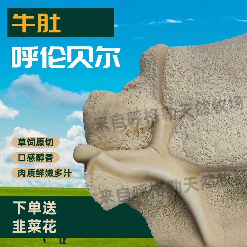 【牛肚】 熟牛肚 改价商品以直播间称重为准 固形物含量80%以上