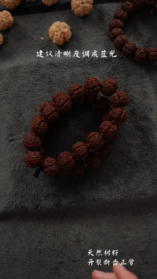 【闪购商品】金刚菩提手串梁产区毒梅花二挡超头21-118