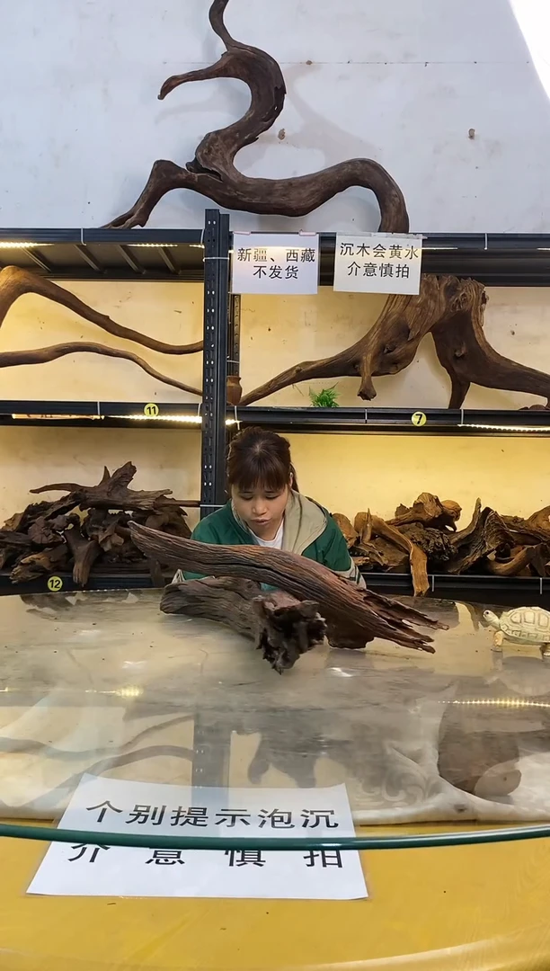 【闪购商品】柚木木艺鱼缸造景素材272