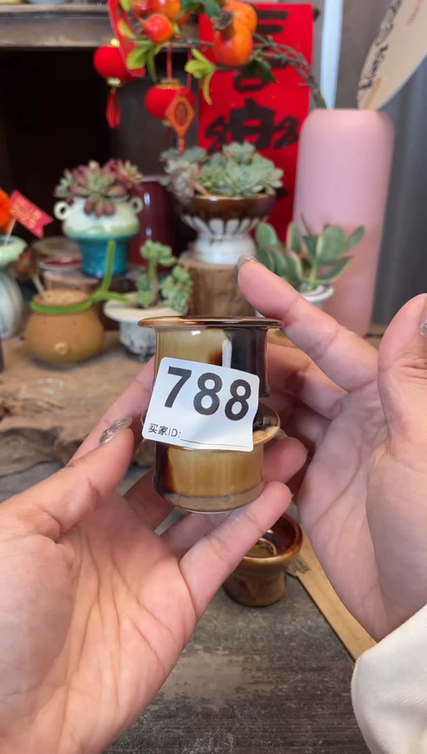 【闪购商品】摆件788福利知木小芳花盆