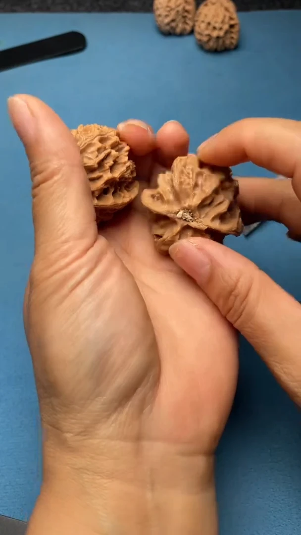 桃核把件w138  苹果园 39尺