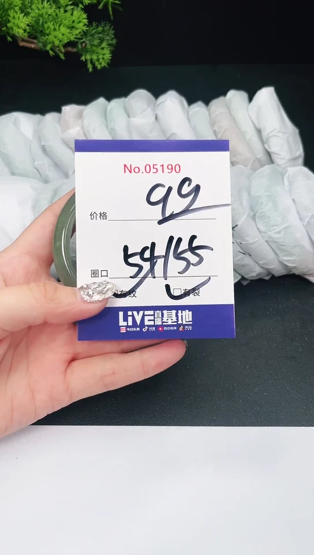 未镶嵌手镯翡翠05190