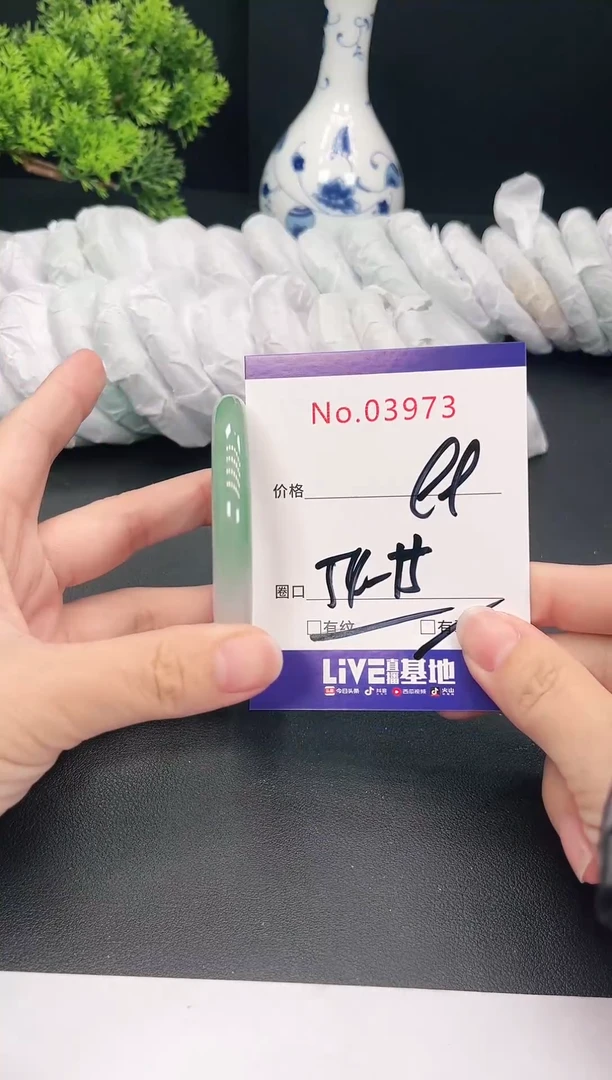 未镶嵌手镯翡翠3973