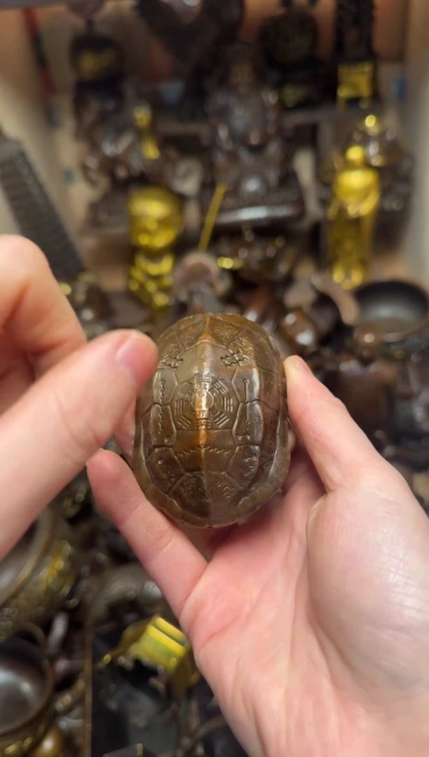 精品专属链接---【卜算龟壳】