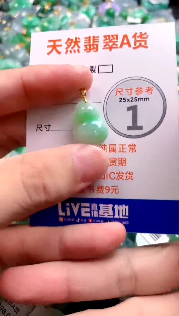 颈饰未镶嵌翡翠26100010