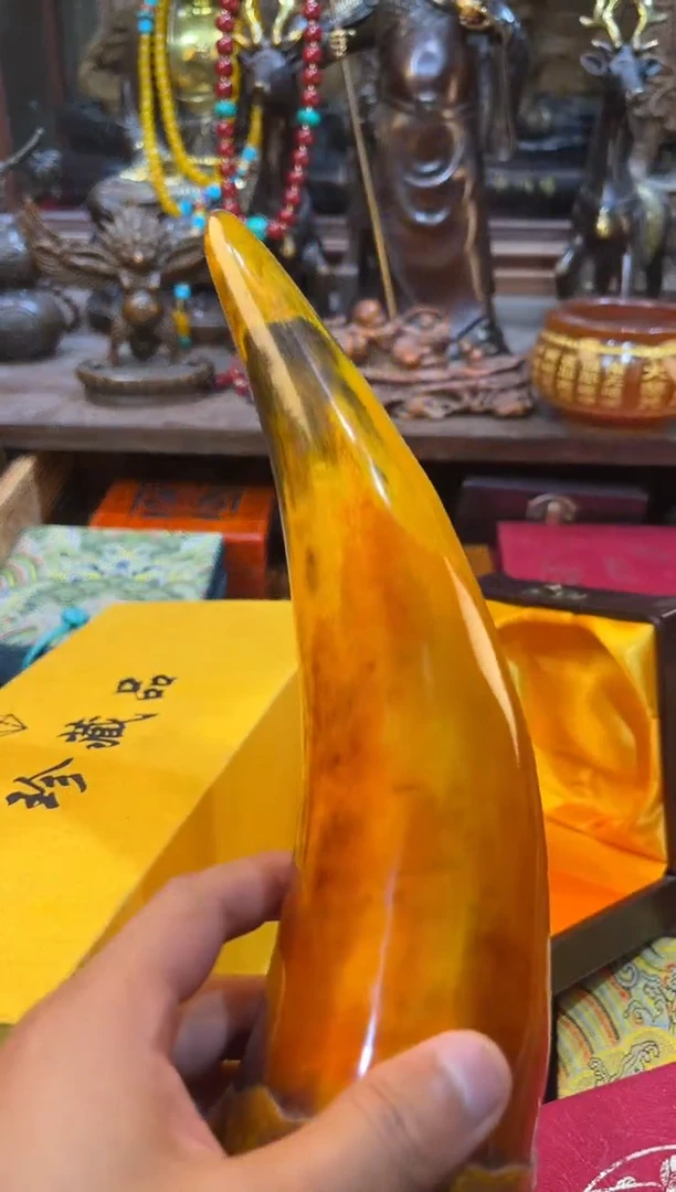 2025专属链接便宜出了