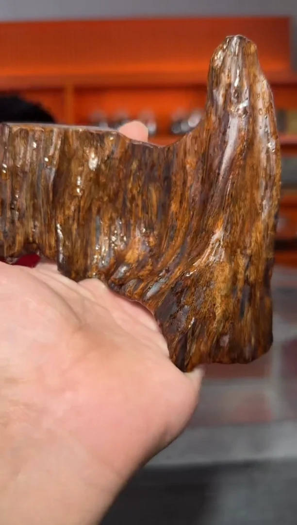 摆件沉香104号多样性发一