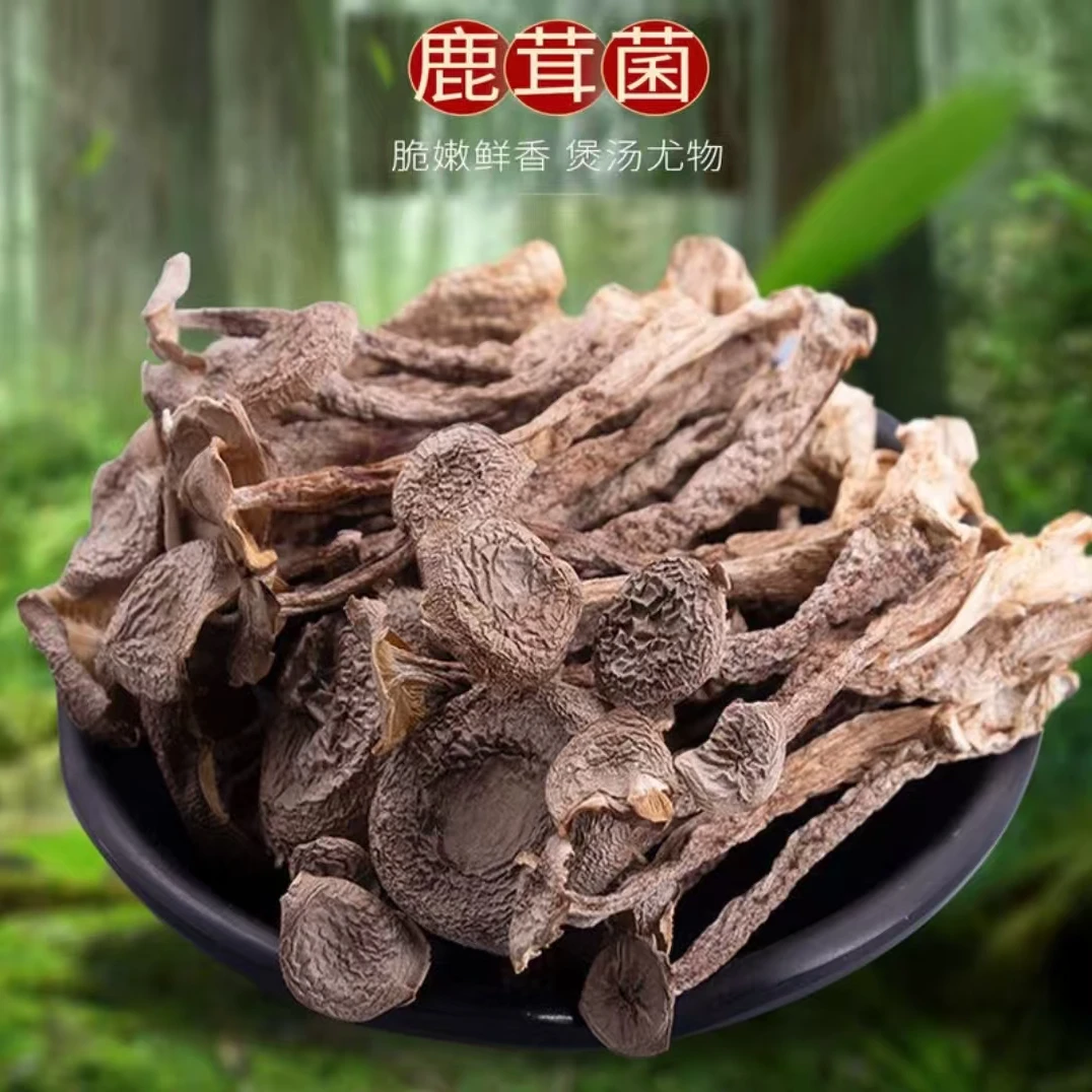 干货鹿茸菇特产鹿茸菌食用菌脆菇煲汤炖汤炒菜新鲜食材