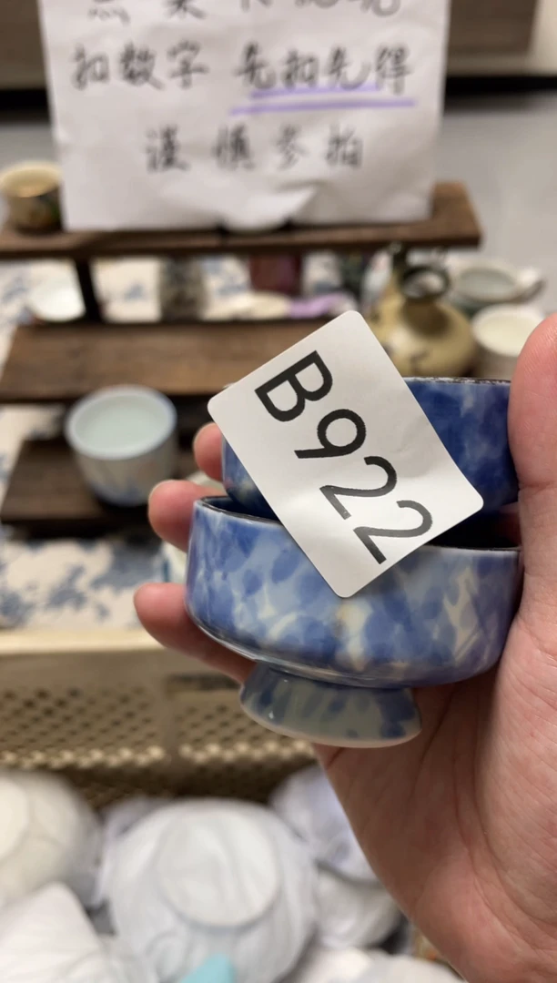 【闪购商品】瓷器瓷器瓷器瓷器B922