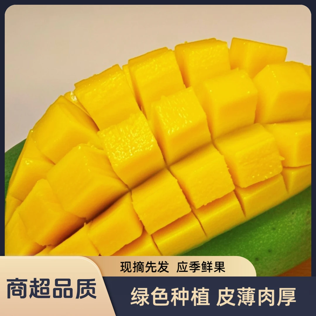 【商超品质大青芒】正宗越南大青芒严选精品果金煌芒青芒果应季水果
