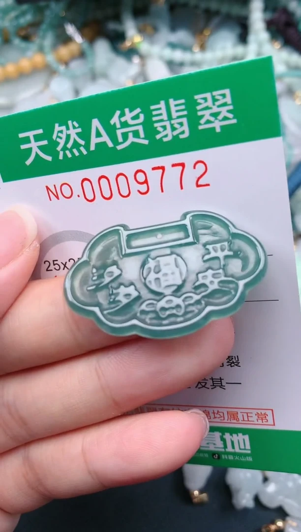 翡翠未镶嵌颈饰.0009772