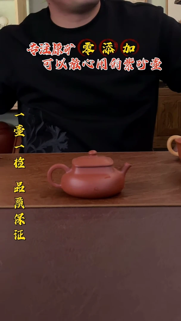 茶壶紫砂黄龙山朱泥乾坤壶