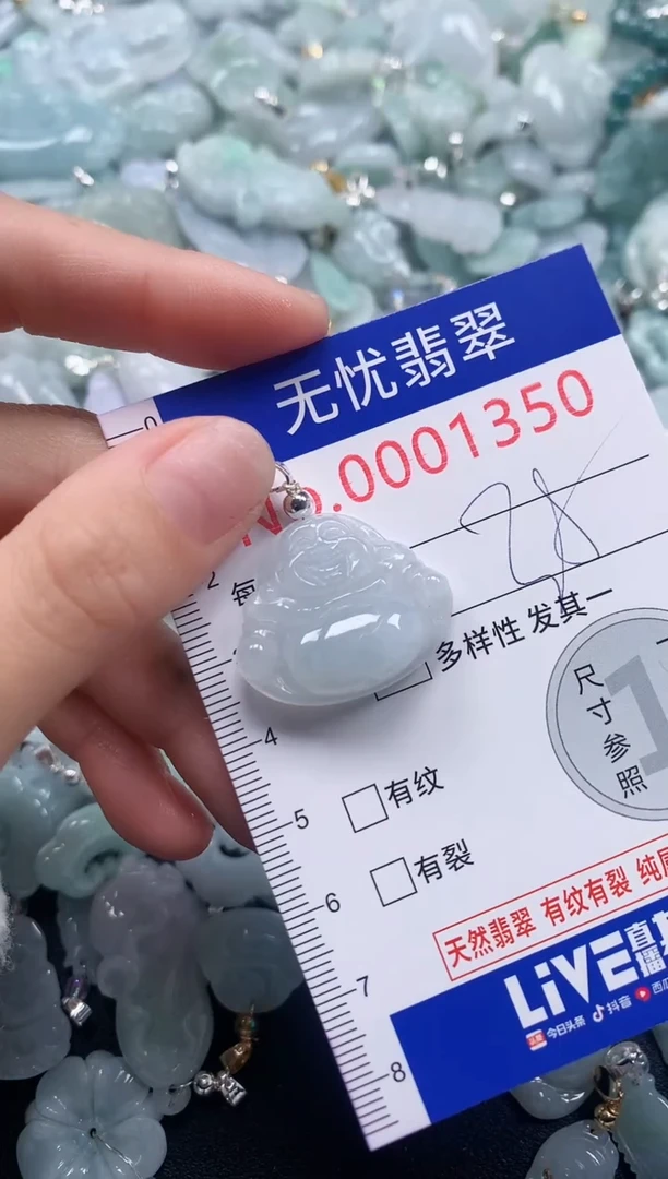 颈饰未镶嵌翡翠1350