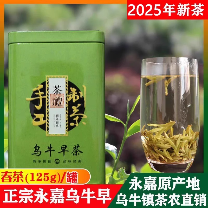 高山云雾绿茶2025年新茶叶温州永嘉乌牛早龙井茶办公室口粮茶春茶