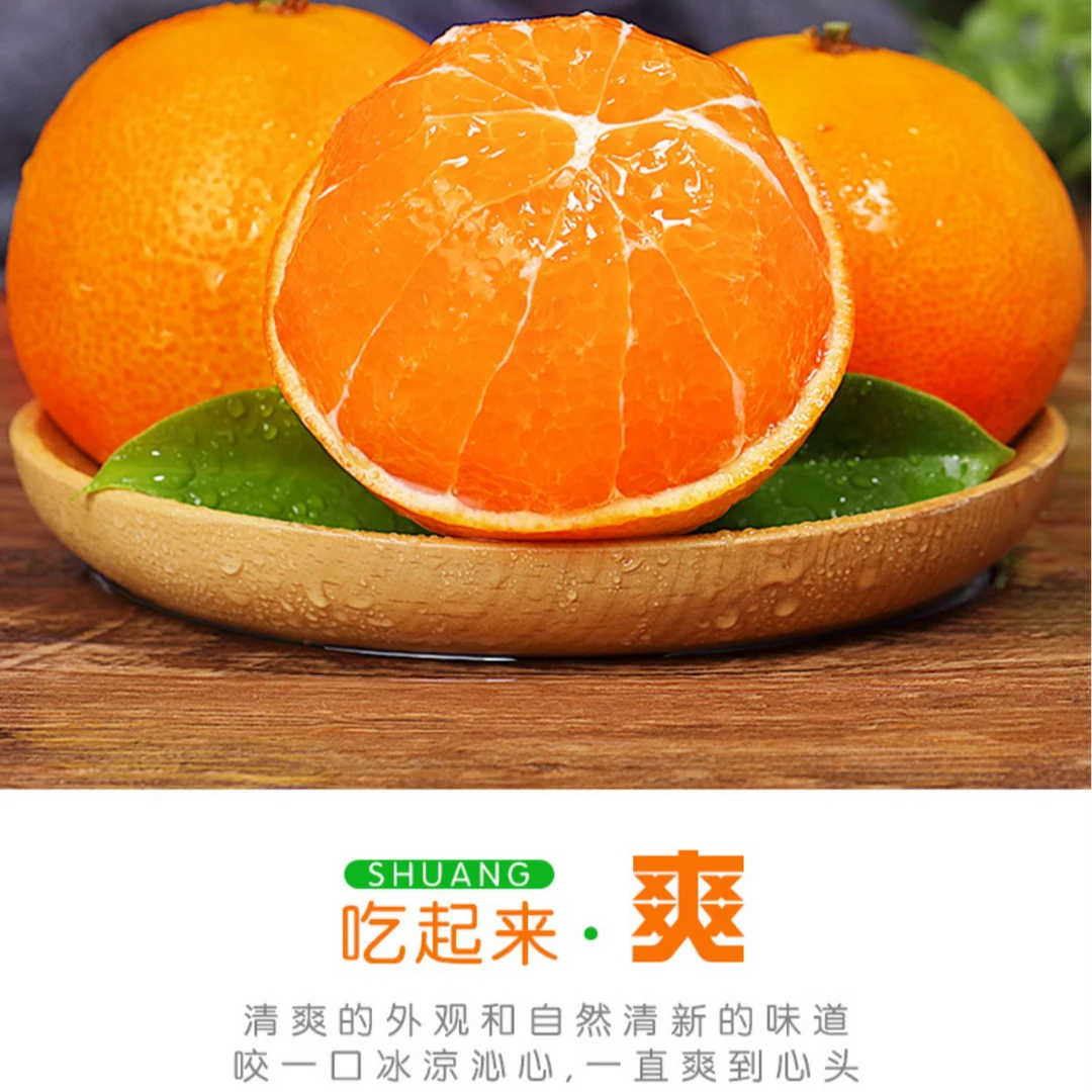 四川爱媛38号果冻橙新鲜当季水果薄皮无籽甜橙（顺丰包邮）
