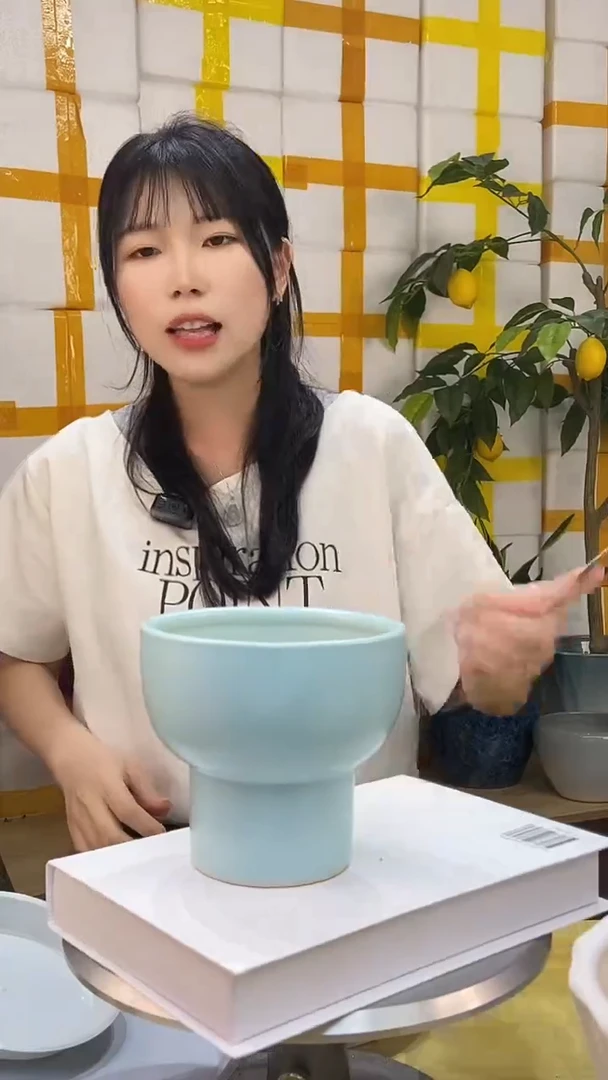 陶瓷花盆火锅盆口径13高度12
