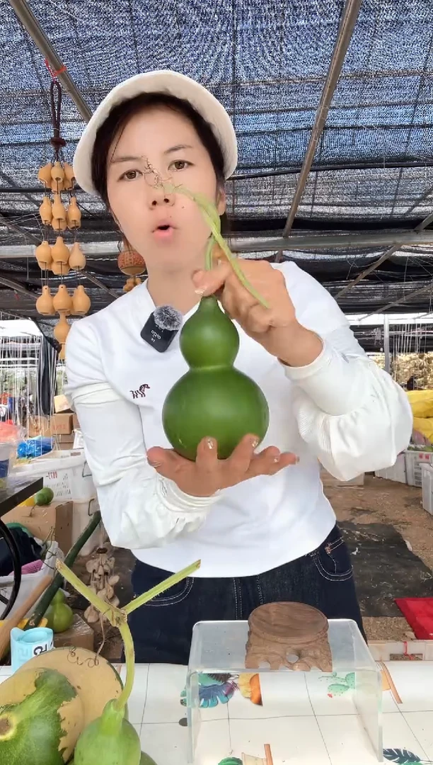 735天然葫芦摆件 一物一拍龙头不保售后