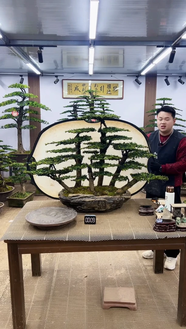 【闪购商品】00000000