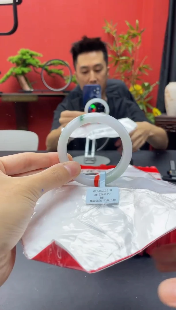 未镶嵌手镯翡翠4
