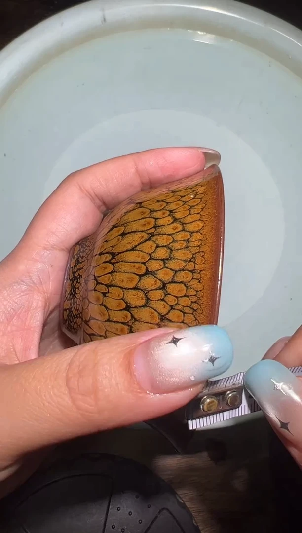 其他何定欣精品分享48