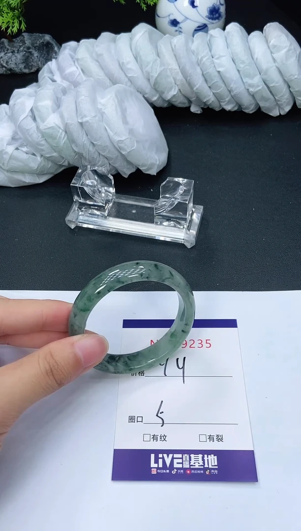 未镶嵌手镯翡翠9235