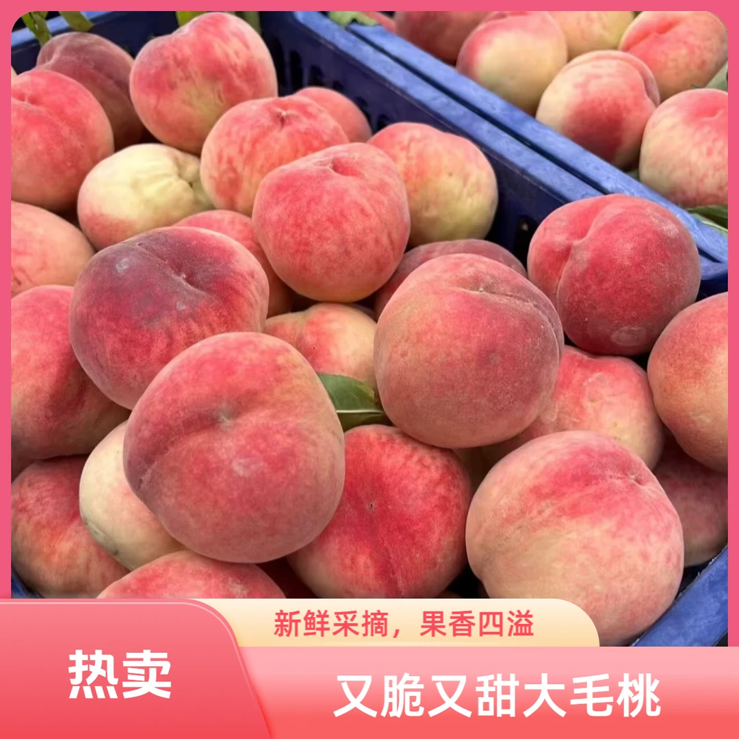 【脆甜新鲜毛桃】新鲜采摘新鲜发货 脆甜口毛桃应季水果 包邮到家北京市