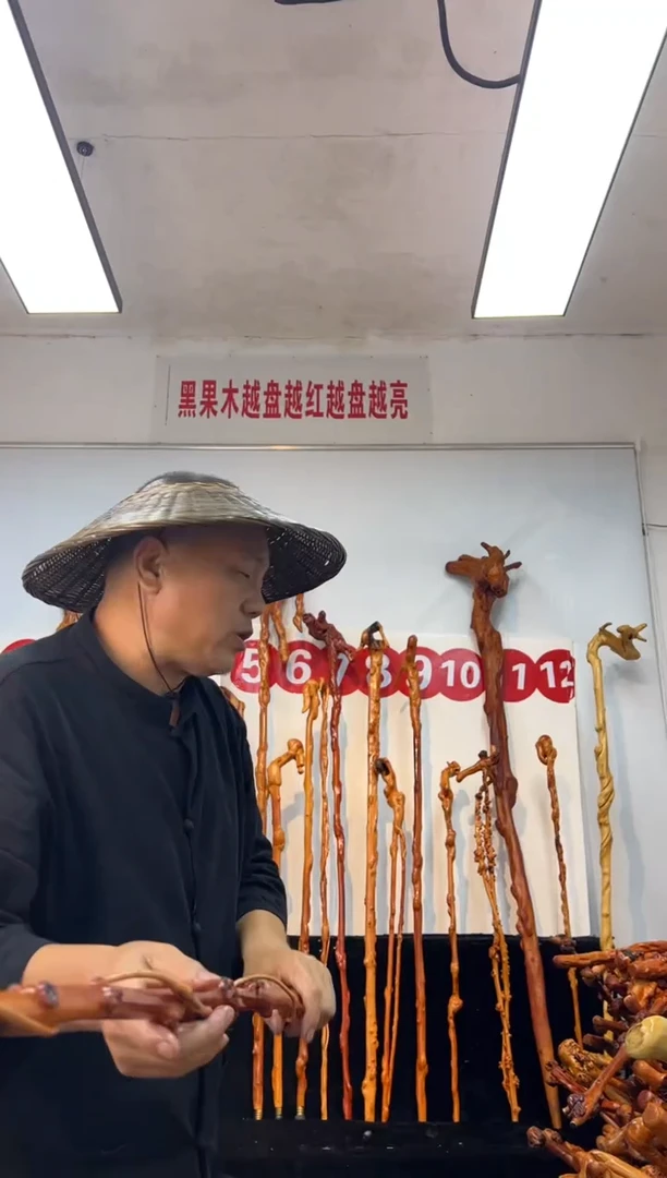 黑果木其他黑果木537