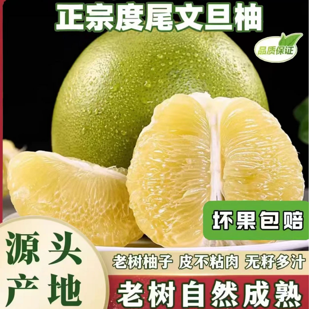仙游度尾文旦柚御品甜珍孕妇小孩当季新鲜水果现摘现发精品蜜柚子