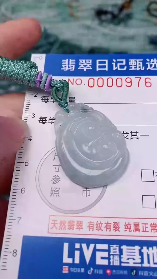 【闪购商品】翡翠颈饰未镶嵌00000976