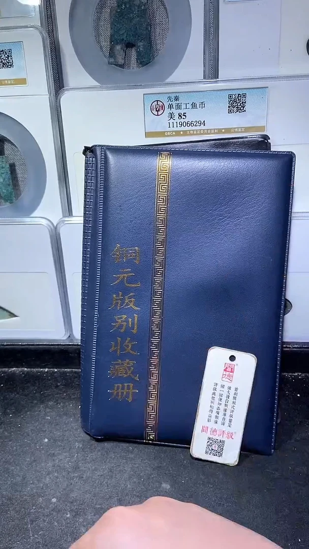 铜历代 铜元版别收藏册