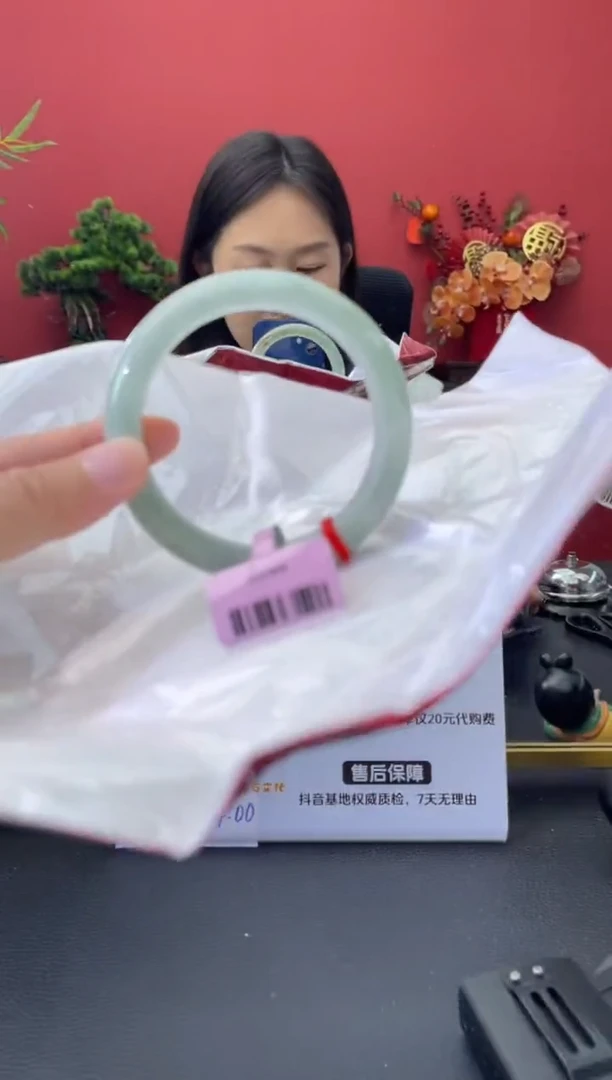 未镶嵌手镯翡翠4