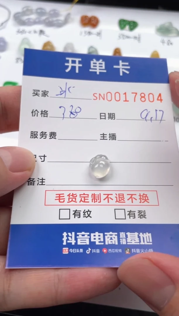 颈饰未镶嵌翡翠冰**王00017804