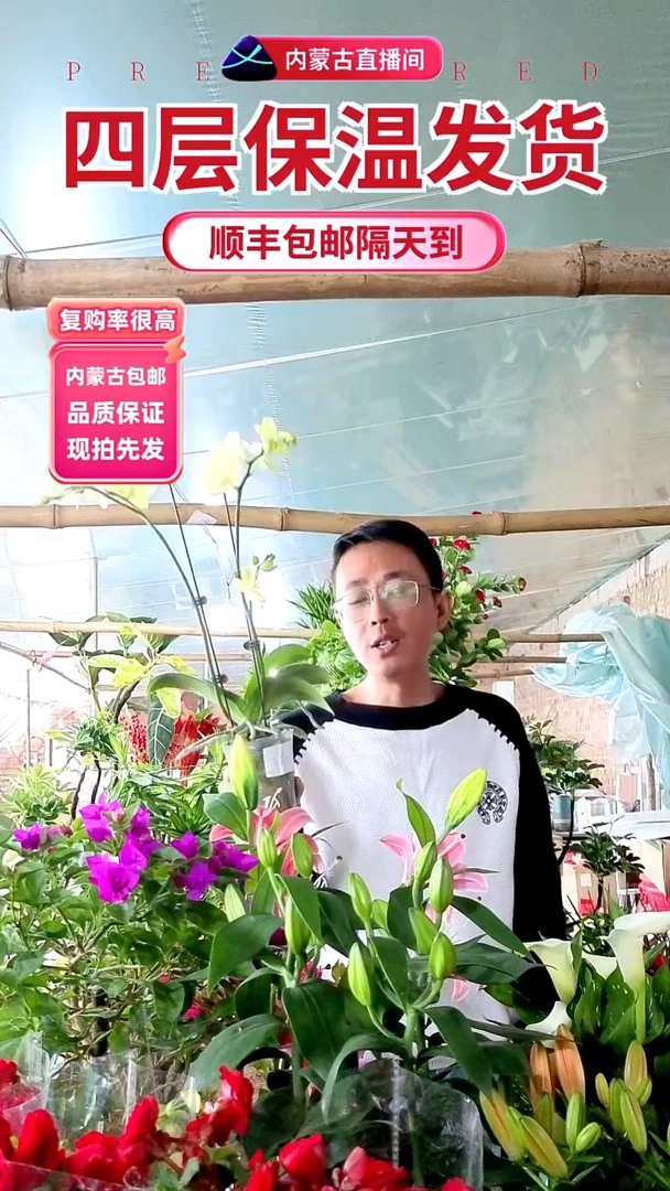 完全开放魏楠姐花束