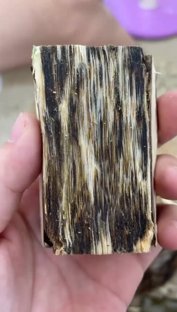 沉香沉香碎屑棋楠沉香 原料文创1（镂空）