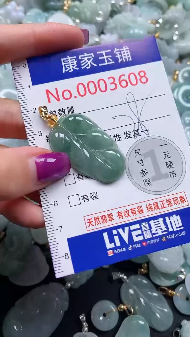颈饰未镶嵌翡翠3608