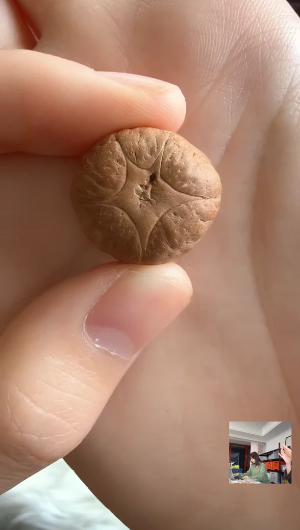 吊坠凤眼菩提4702