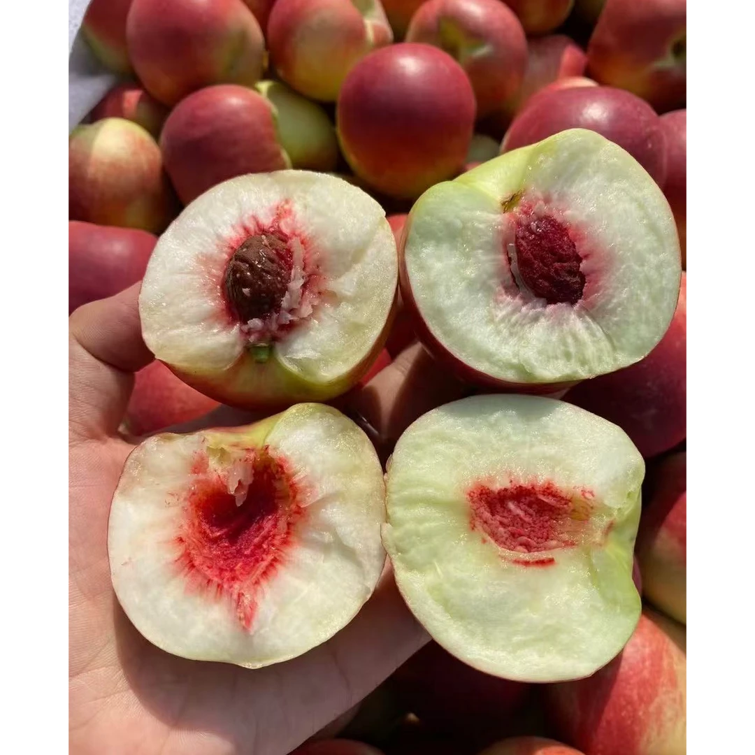 《果虎》空运新疆珍珠枣蜜桃 新鲜水果顺丰包邮g新疆维吾尔自治区