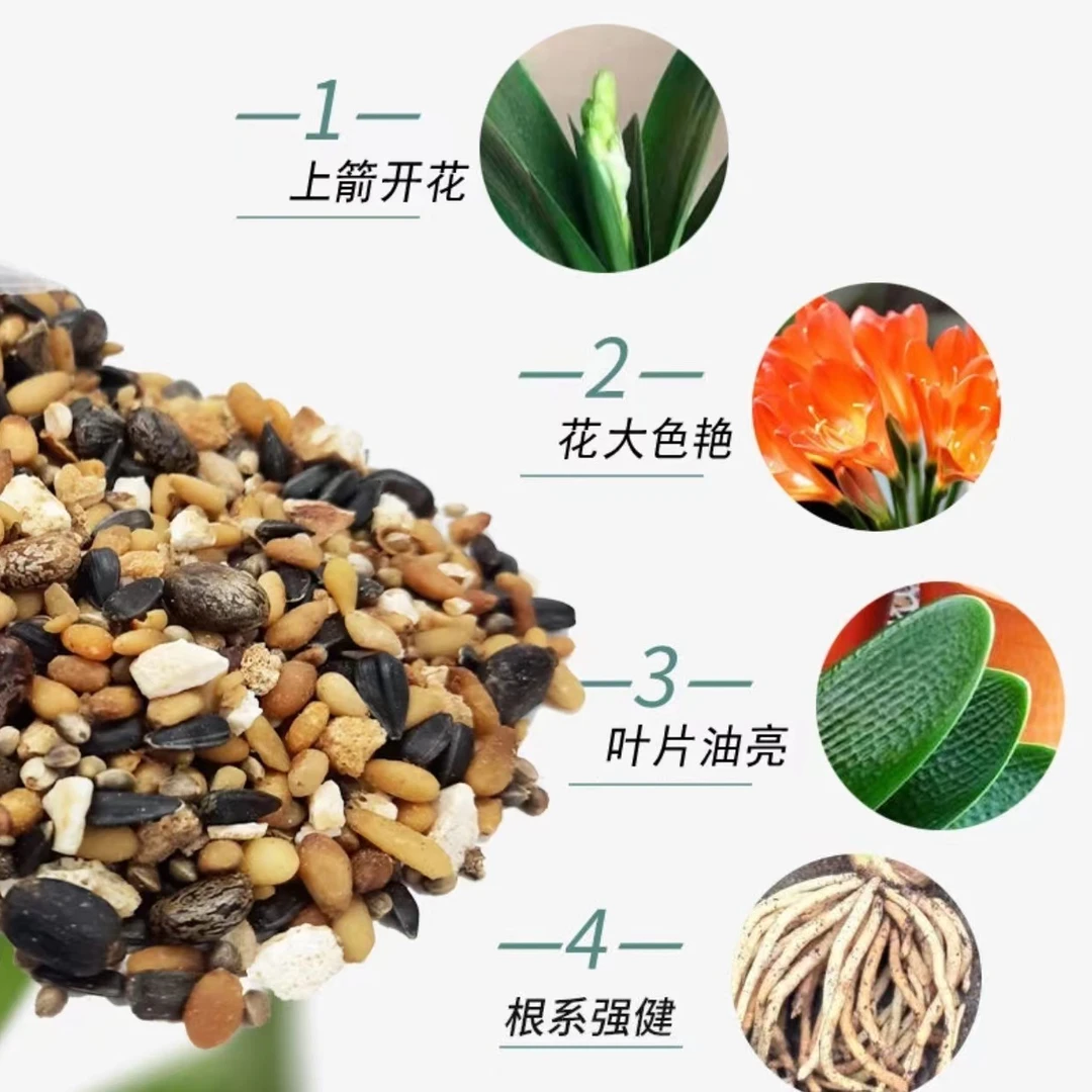 君子兰有机质6合一