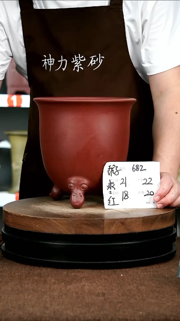 紫砂花盆花卉园艺682