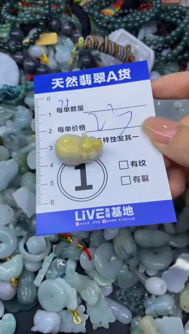 颈饰未镶嵌翡翠天然翡翠A货批量多样性发一件