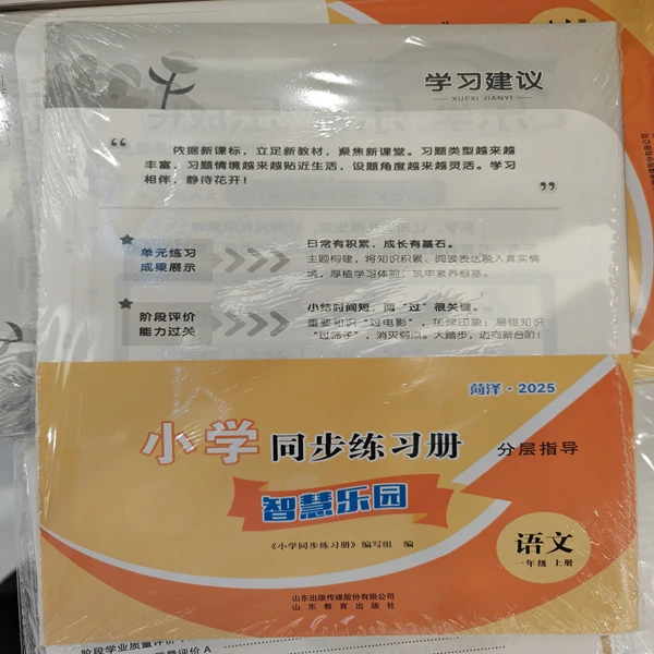 2025新版小学同步练习册单元试卷
