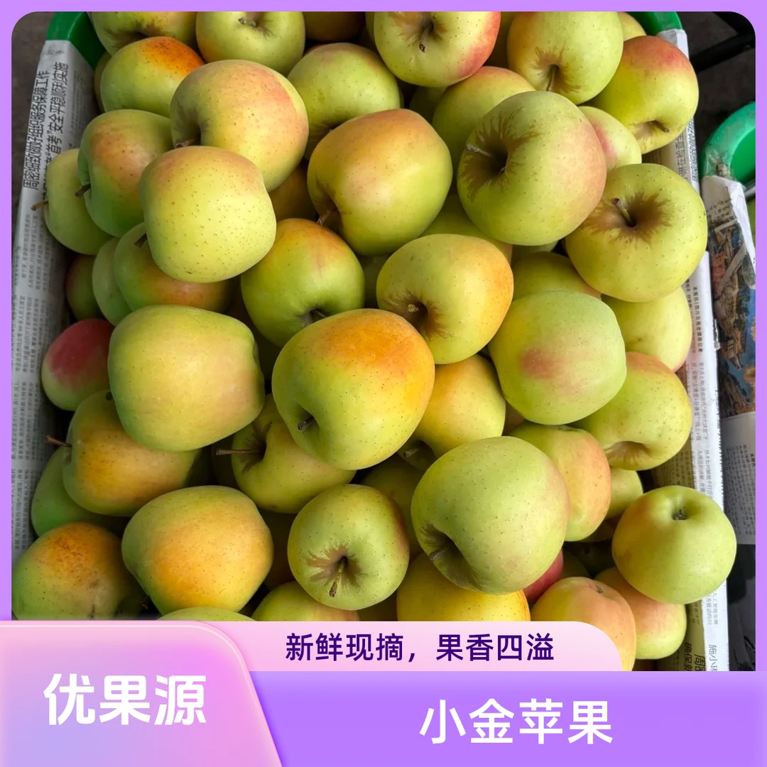 小金苹果（500g左右）云南省