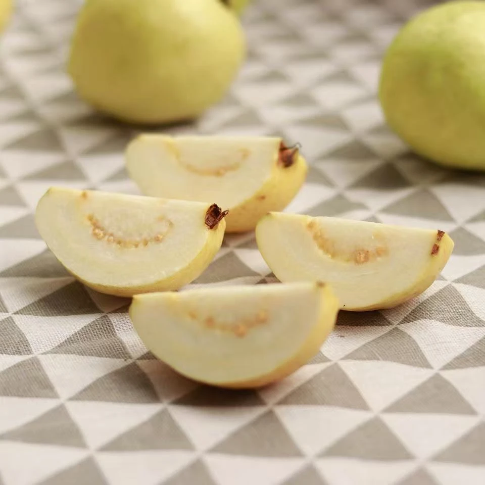 【风清推荐】广西玉林树熟奶油白心芭乐净重3/4.7斤装  顺丰/京东