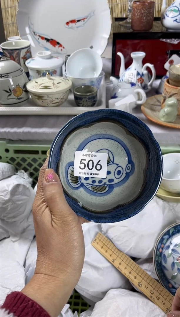 【闪购商品】碟            506